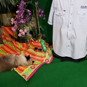 Men's R.A.R.E. Apparel Large SS shirt